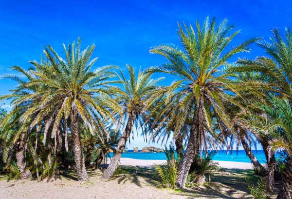 plage-des-palmes-vai-crete